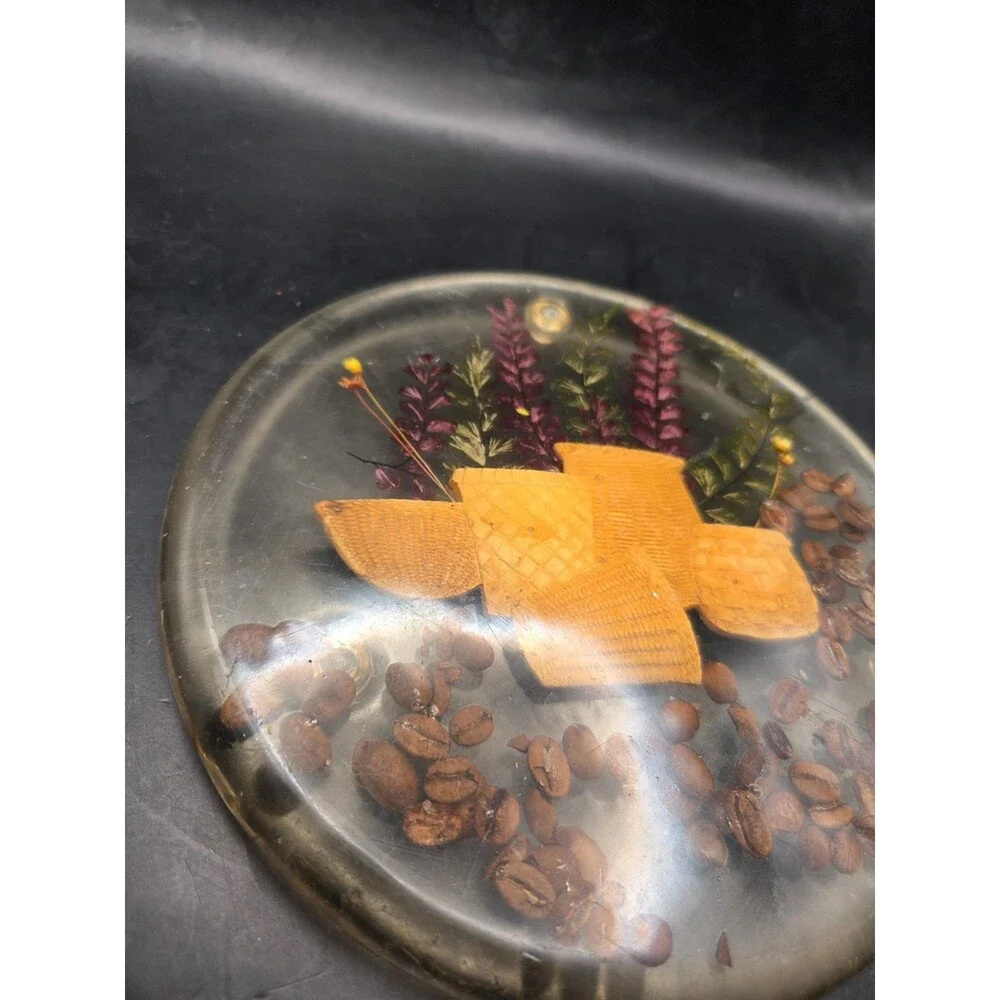 Vintage Glowing Lucite Trivet Hot Plate With Dried Botanicals